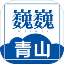 开云app官方入口网站国际的市场定位与优势